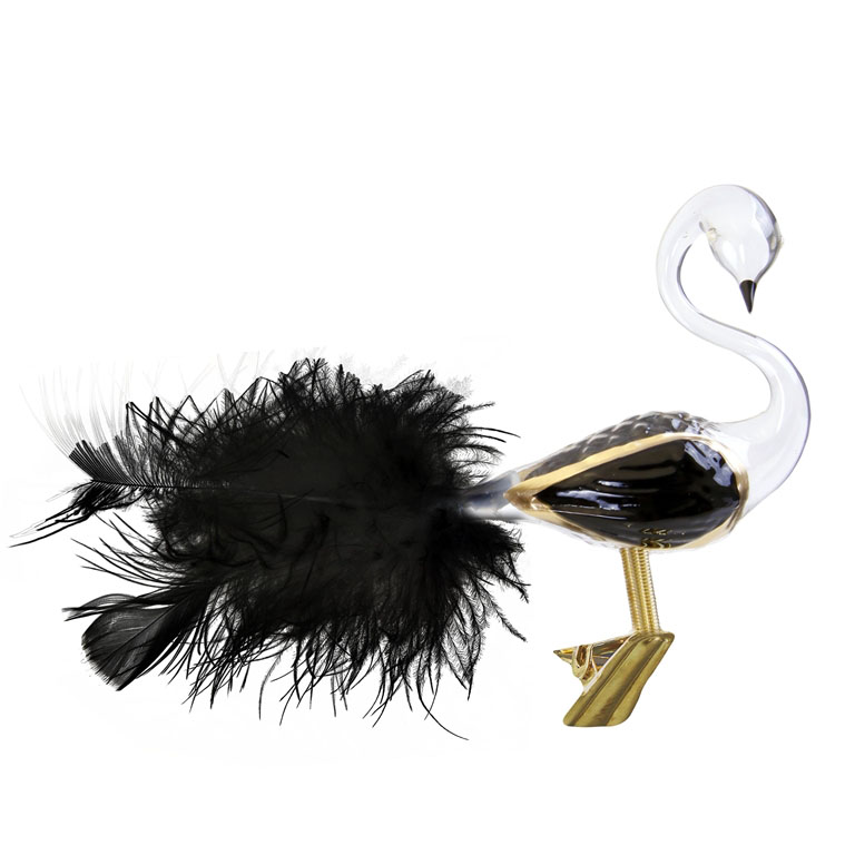 Swan