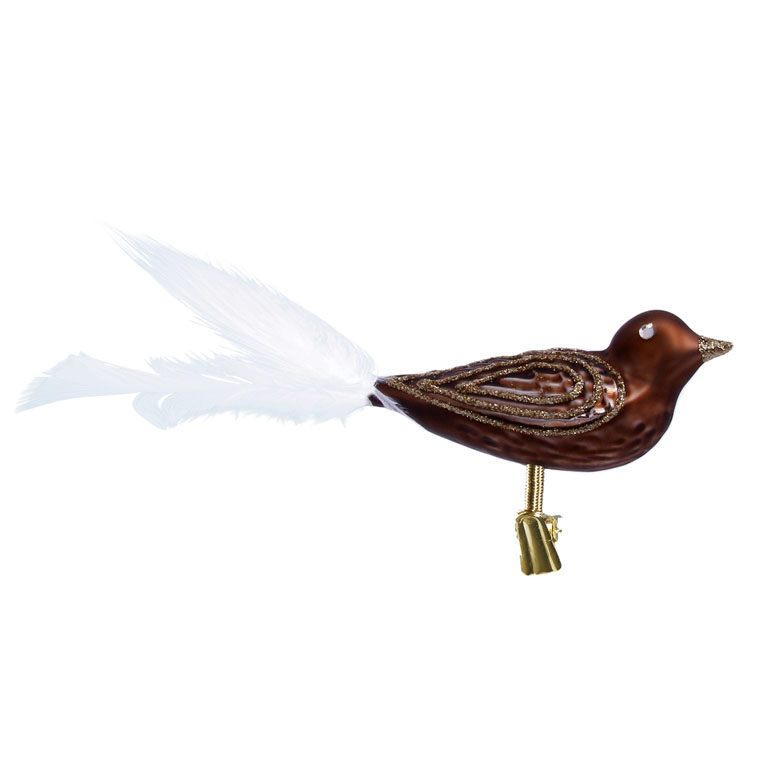 Brown bird with golden wings