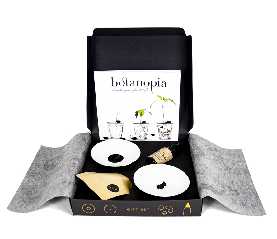 Deluxe gift set with germination plates and accessories