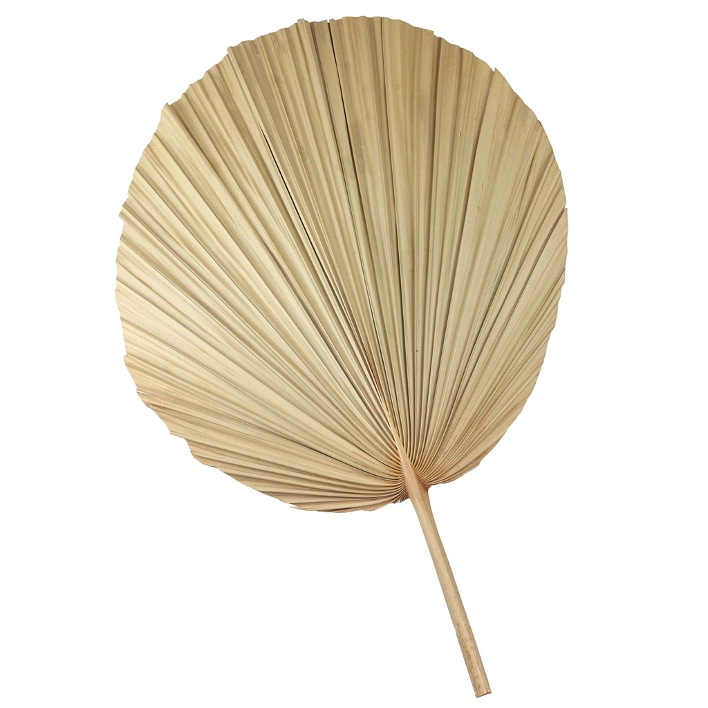 Decorative palm leaf