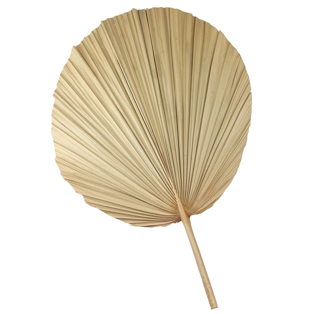 Decorative palm leaf