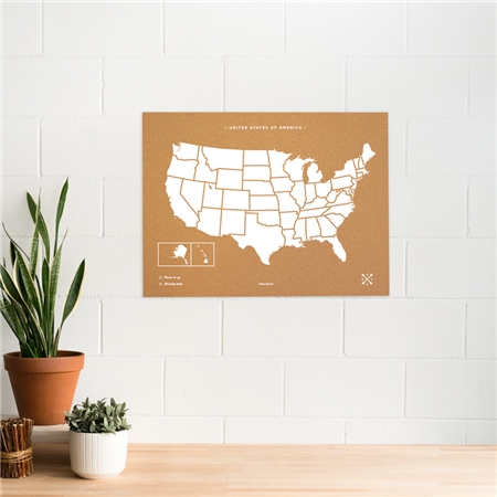 Cork board USA map size XL