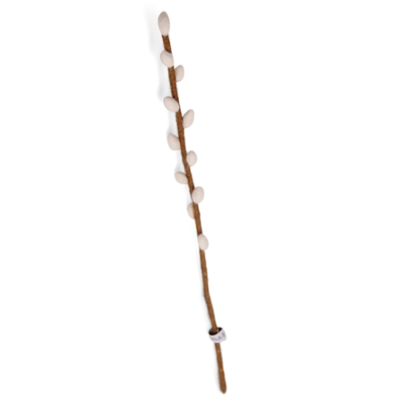 Felt cat branch