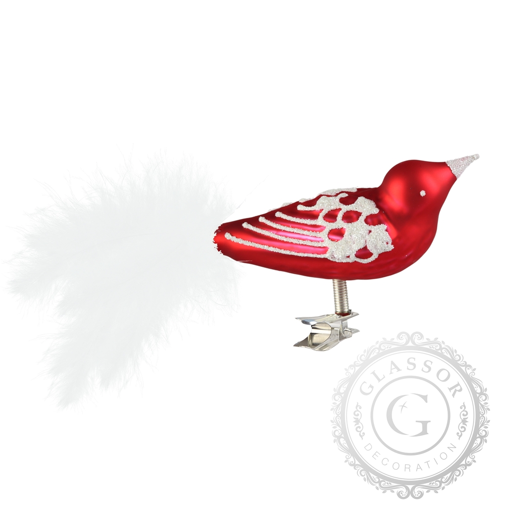 Red bird with white feathers
