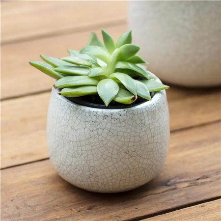 Small ceramic flowerpot with cracked glaze