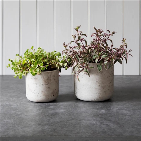 Set of cement flower pots