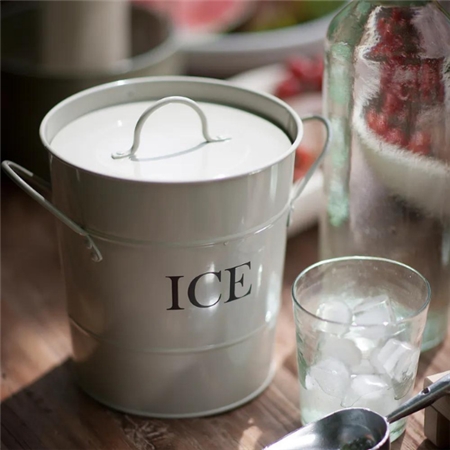 Ice bucket with a scoop
