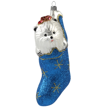 White dog in a blue sock