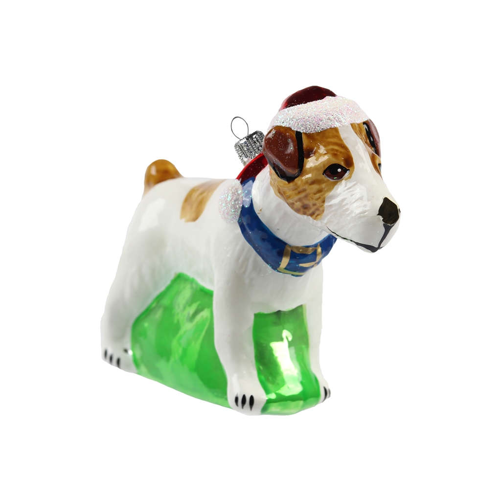 Jack Russell terrier with Santa hat