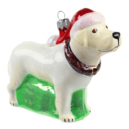 Pale yellow Labrador with Santa hat