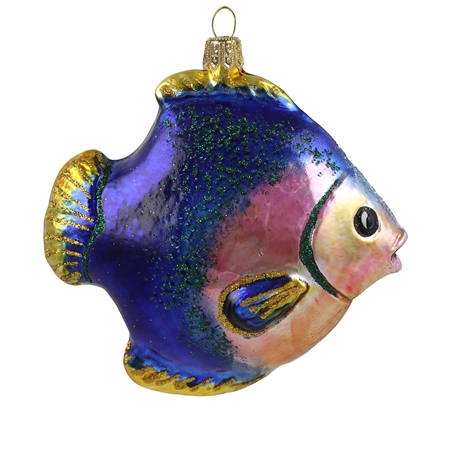 Rainbow colored fish