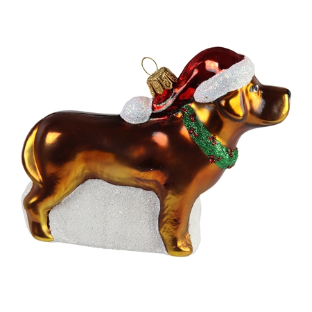 Chocolate Labrador with Santa hat