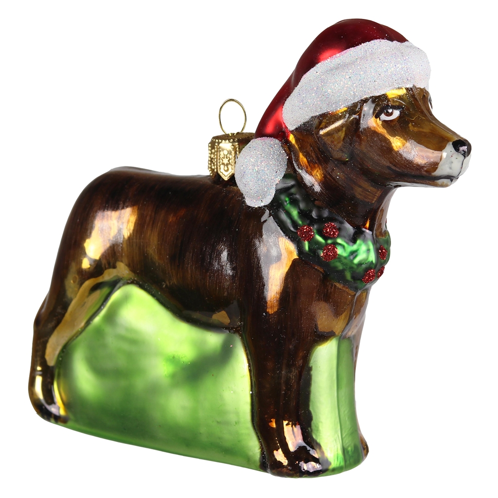 Nova Scotia Duck Tolling Retriever ornament