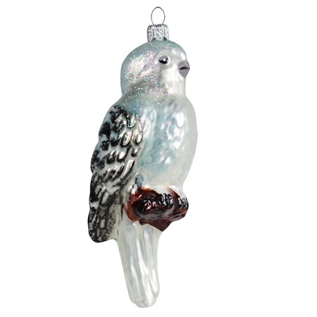 Little bird budgie white-blue