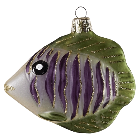 PURPLE ZEBRA FISH