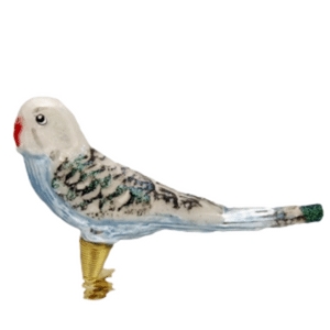 Little Bird Budgie