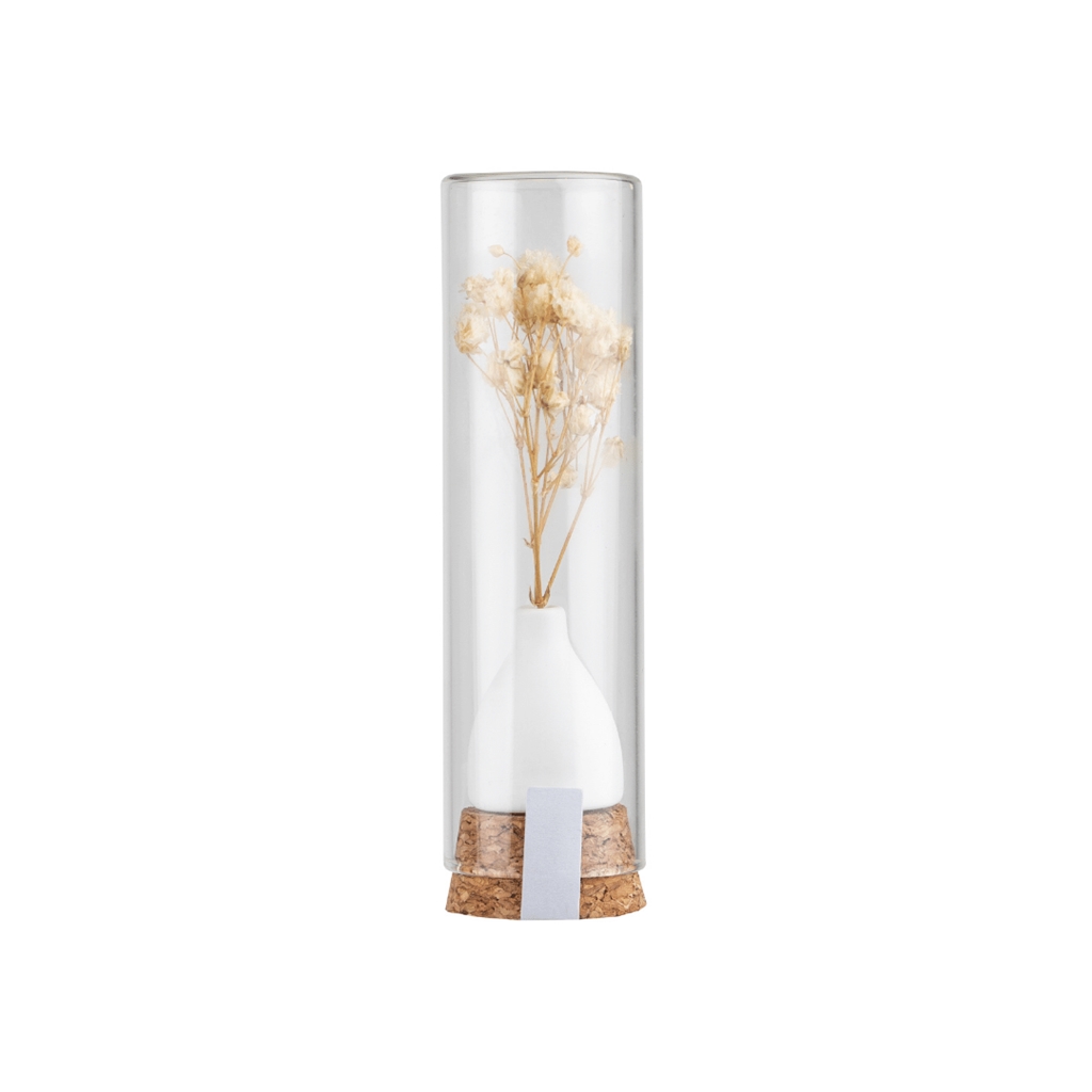Gift flower in glass tube white