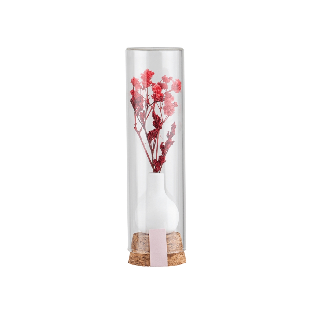 Gift flower in glass tube red