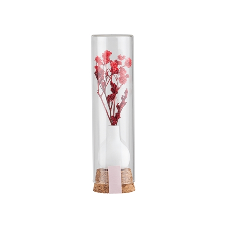 Gift flower in glass tube red