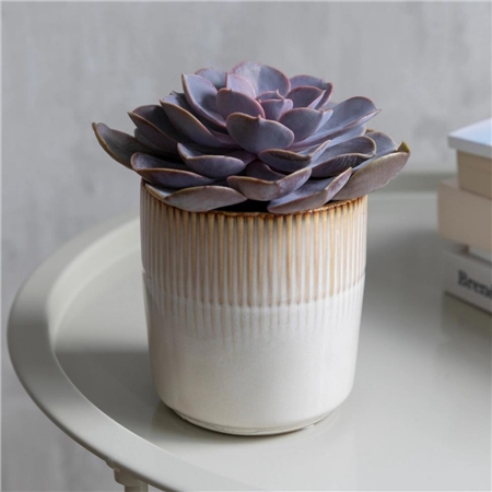 Ceramic flowerpot ivory white small