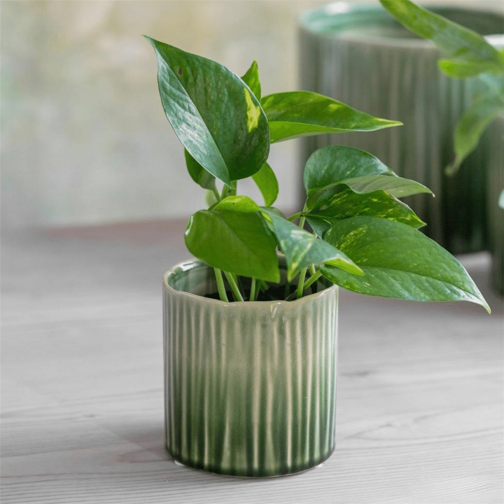 Ceramic flowerpot green linear pattern small