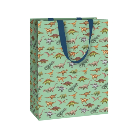 Green gift bag with dinosaurs