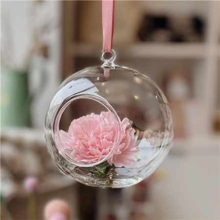 Transparent hanging aerarium