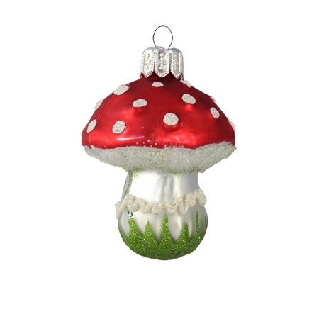 Toadstool mushroom with red hat