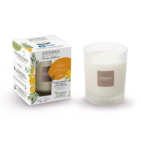 Amber and Balms scented candle