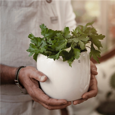 Natural stoneware pot