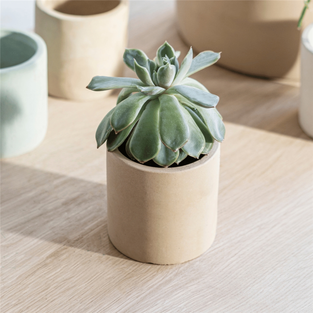 Cement mini pot in beige