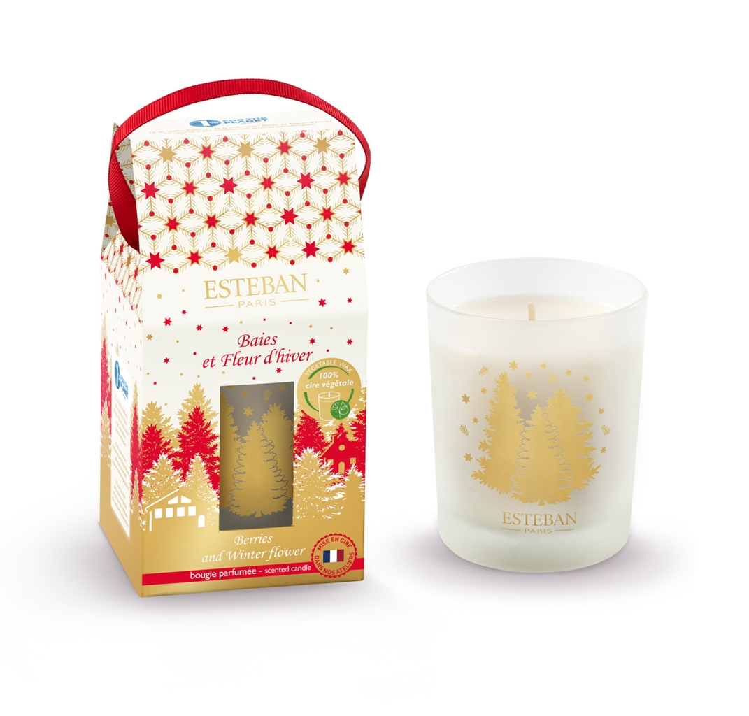 Berries and Winter Flower scented candle