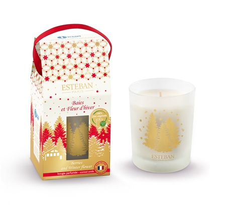 Berries and Winter Flower scented candle