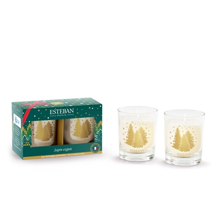 Set of mini Exquisite fir candles