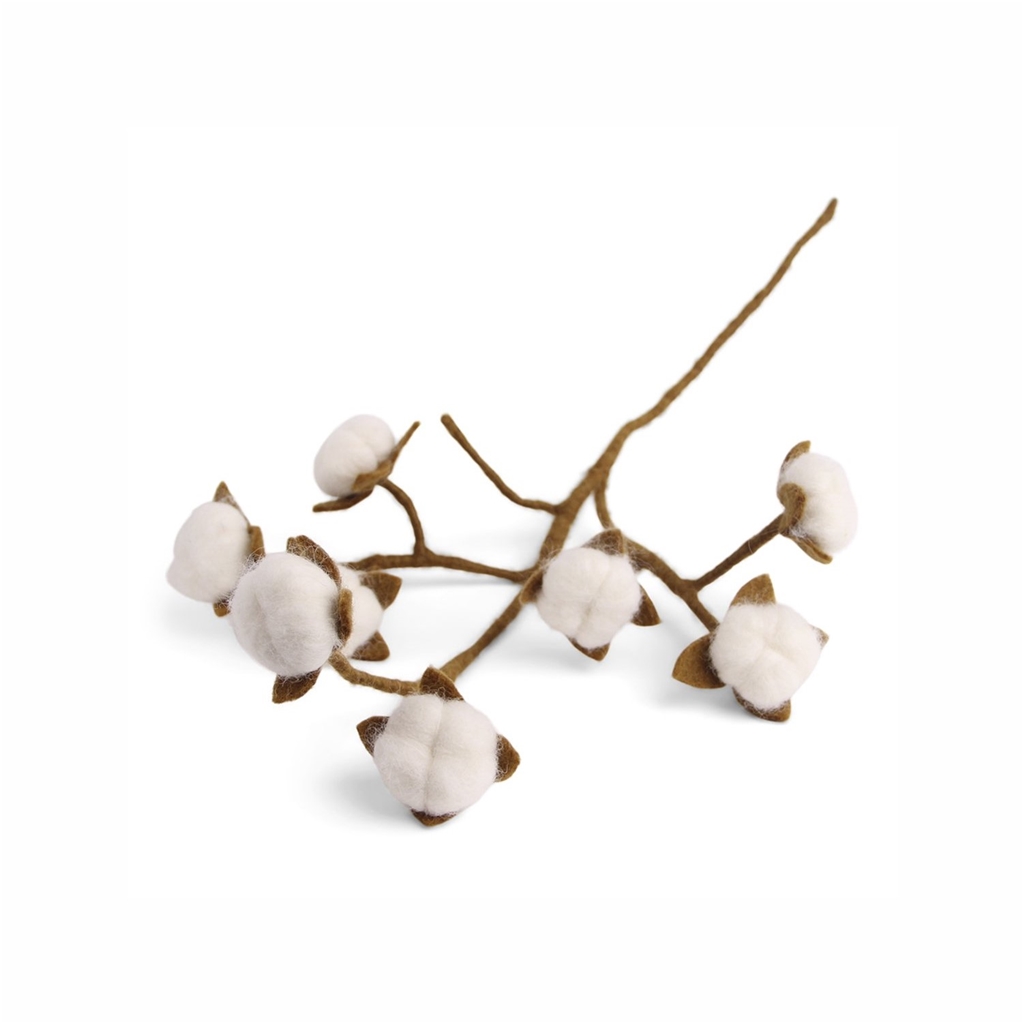 Cotton branch