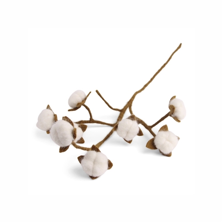Cotton branch