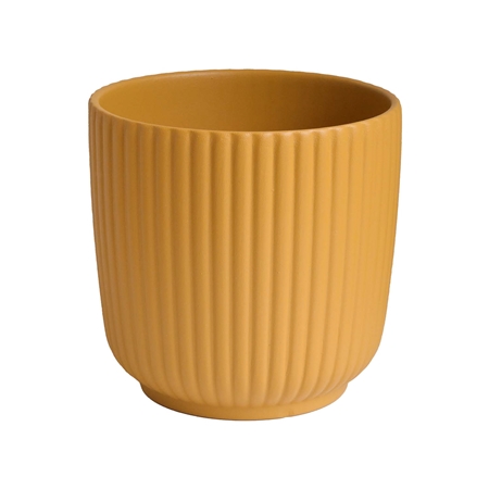 Luna mustard flower pot