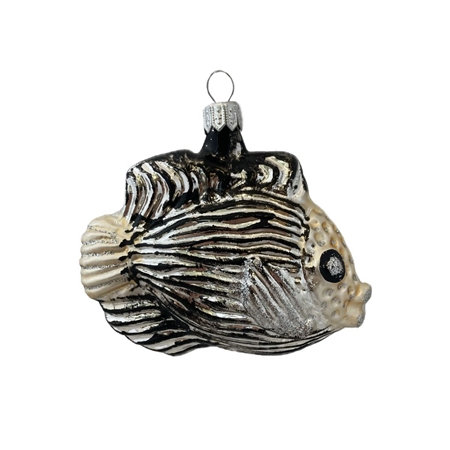Silver glass fish