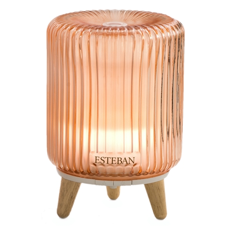 Ultrasonic diffuser Retro