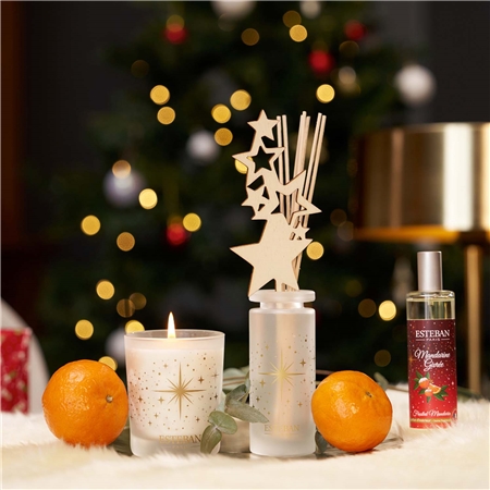 Frosted Mandarin Reed Diffuser