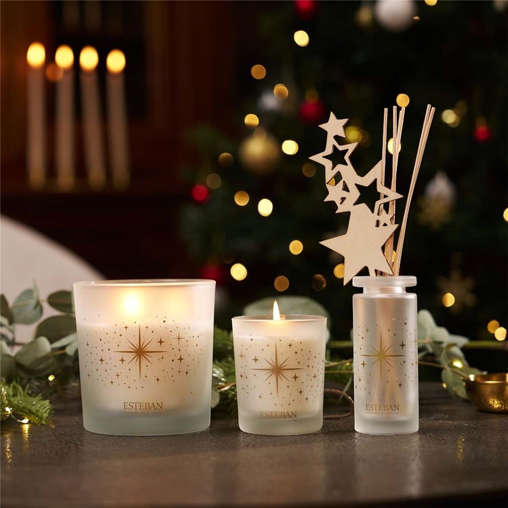 Reed diffuser Exquisite Fir