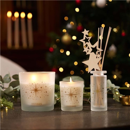 Reed diffuser Exquisite Fir