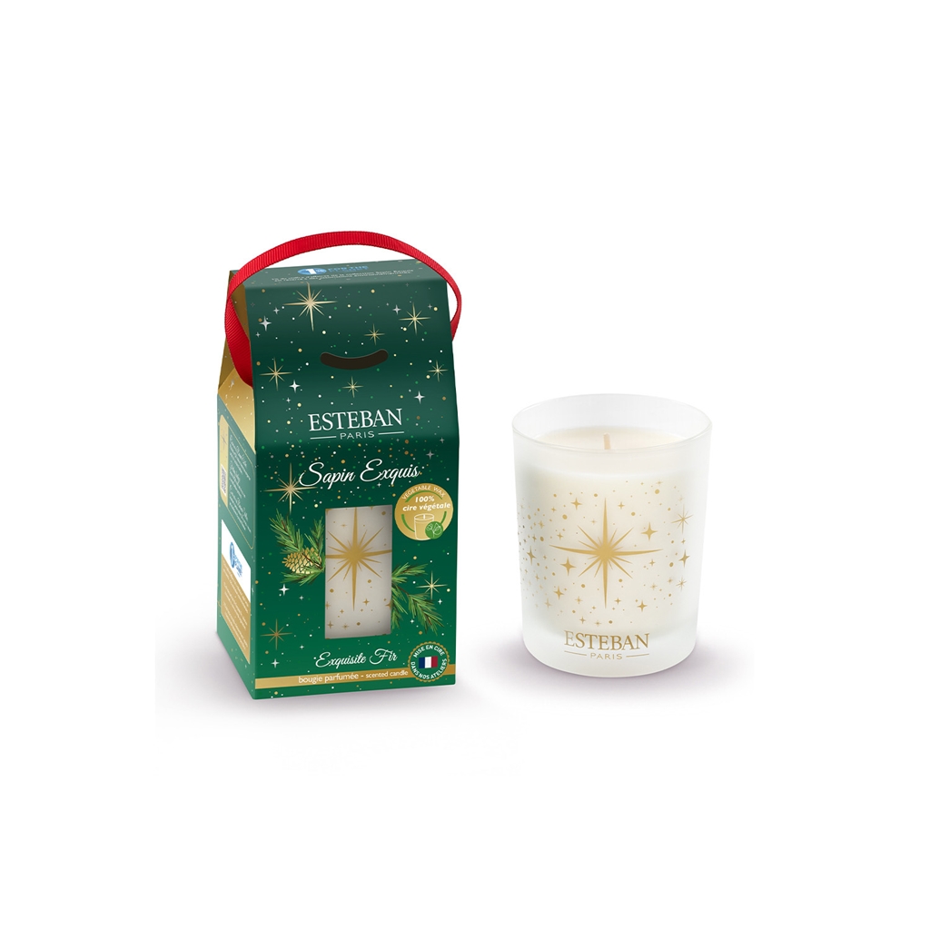 Exquisite Fir scented cadle