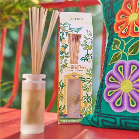 Mango and Lime stick diffuser