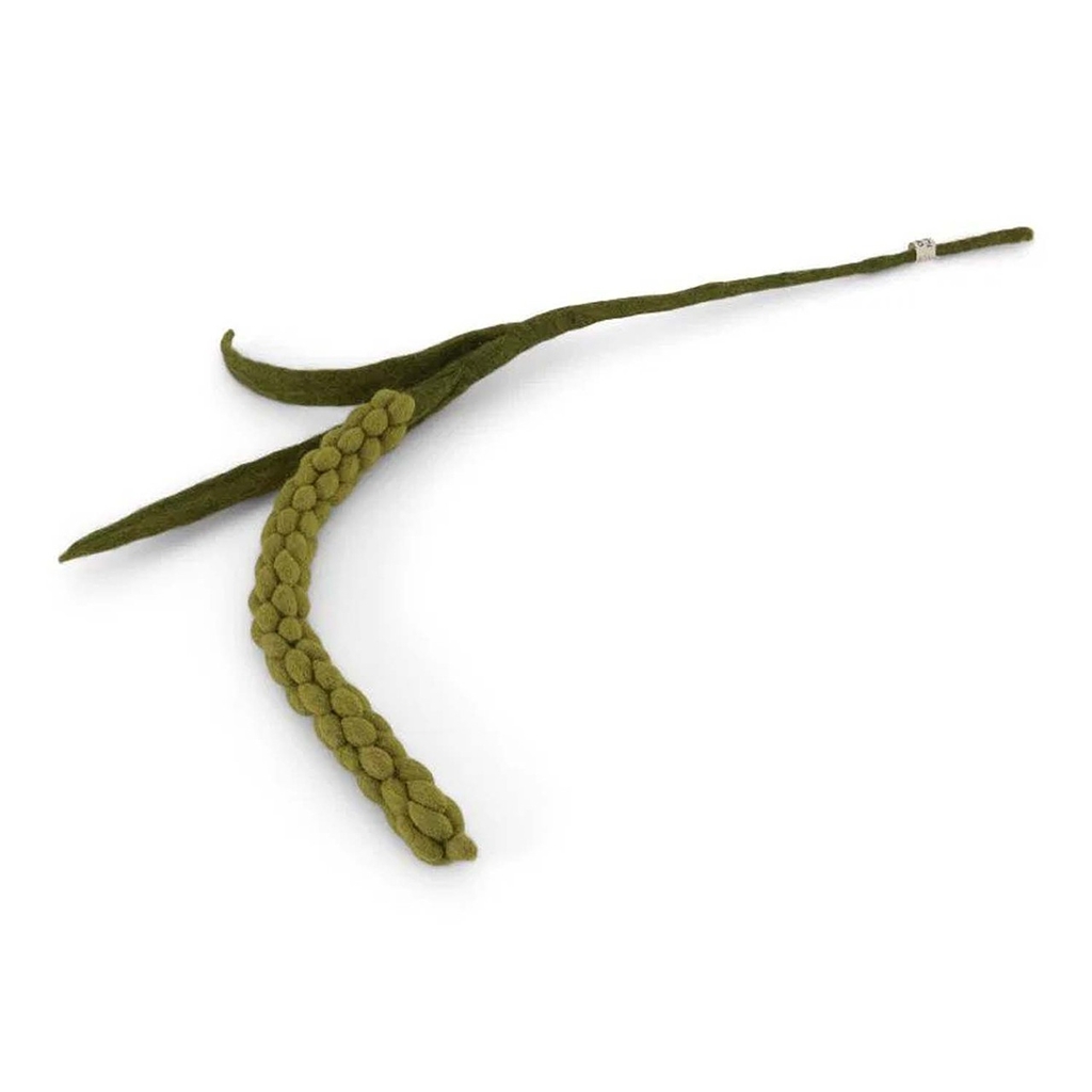 Felt branch of Amaranth
