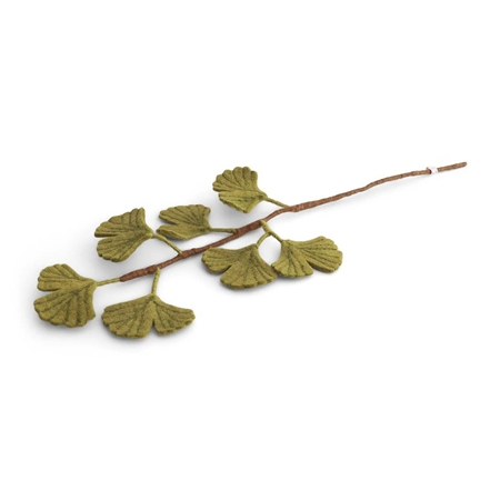 Felt twig of Ginkgo biloba
